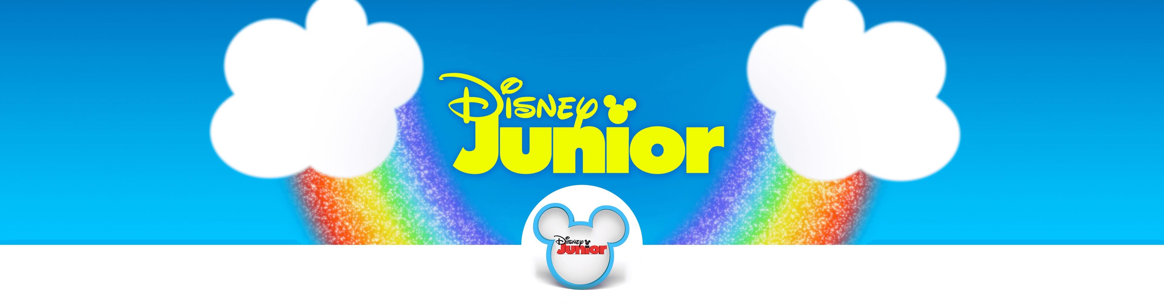 banner disney